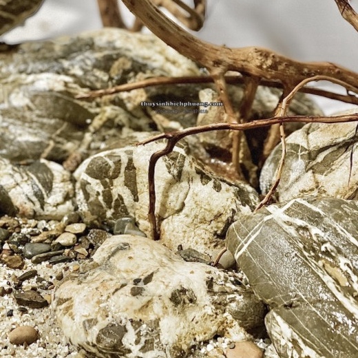 ĐÁ CUỘI VÂN MÂY SIÊU ĐẸP  - CHUYÊN THIẾT KẾ HỒ THỦY SINH BIOTOP ĐIỂM NHẤN QUAN TRỌNG CHO BỂ CÁ THỦY SINH