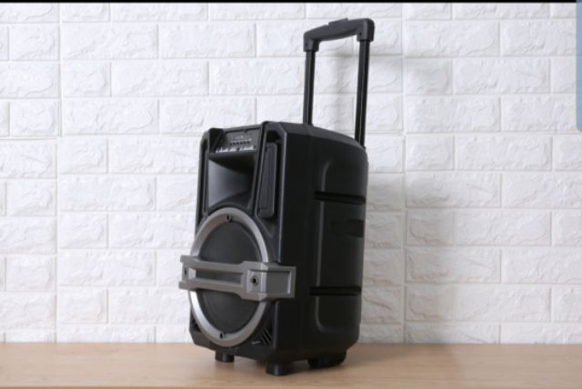 Loa Kéo Bluetooth Enkor L0810K