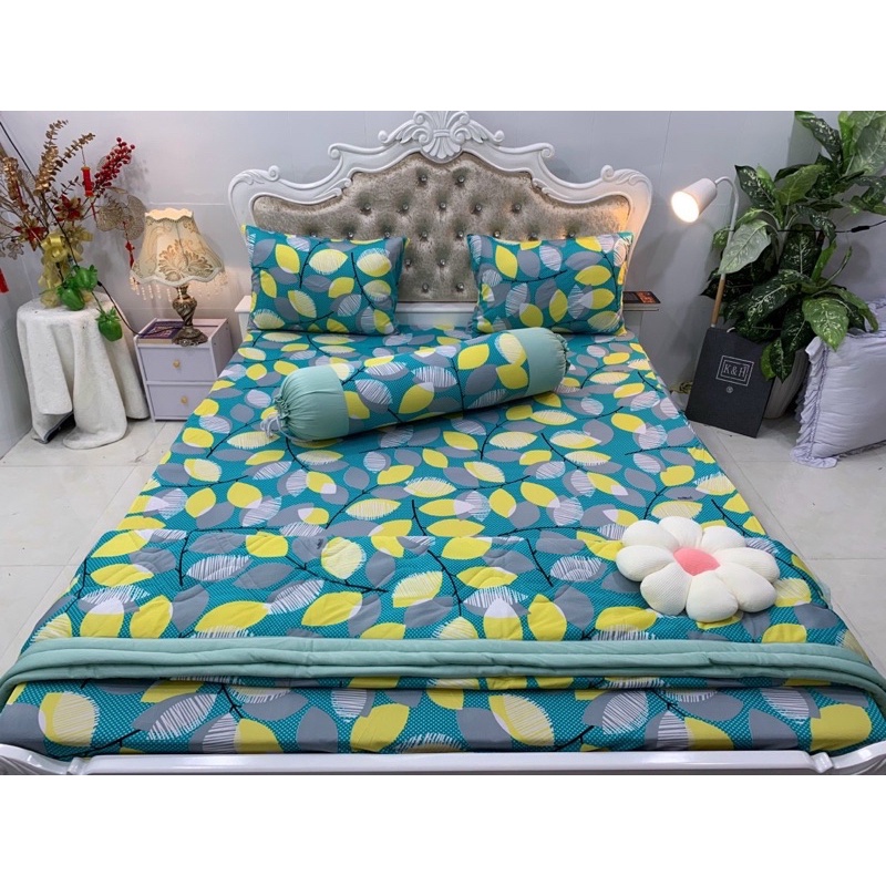 Bộ drap thun hàn quốc mẫu lá phối 6 màu siêu đẹp