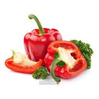 Hạt giống ớt ngọt CHAPION (10H)