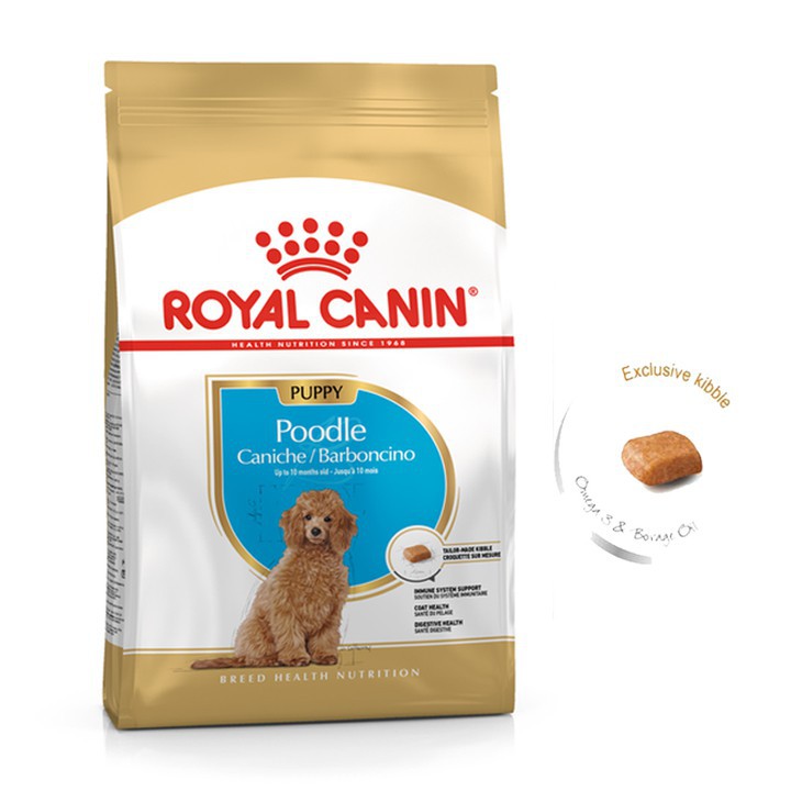 [Mã PETWOW giảm 8% đơn 250K] Thức ăn cho chó con Poodle dưới 10 tháng tuổi Royal canin puppy 500gr