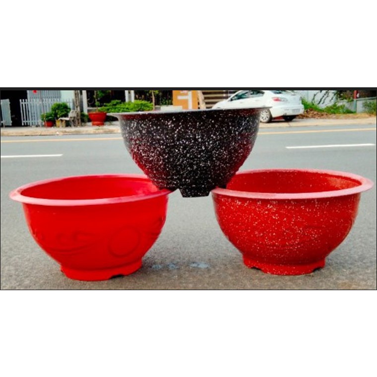 Combo 5 chậu t48 trồng cây kt miệng 48x cao 23cm