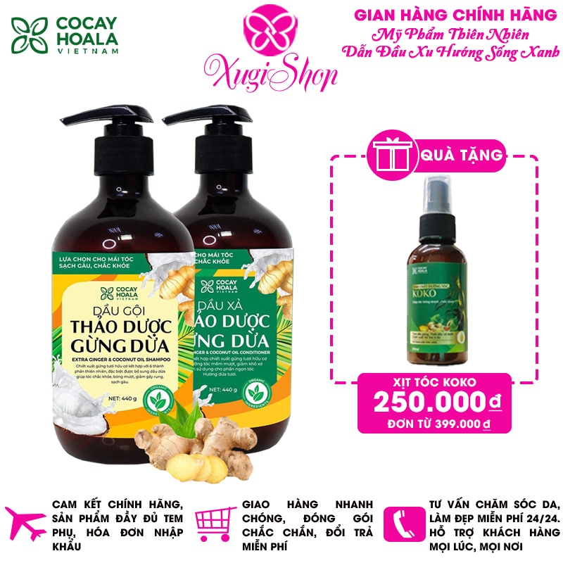Bộ dầu gội hữu cơ gừng dừa Cocayhoala thảo dược cao cấp cỏ cây hoa lá đánh bay gàu giảm ngứa dung tích 440g/chai