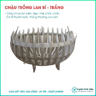 Bộ 5 Chậu Lan Nhựa Bí - Trồng Hoa Kiểng - Trắng
