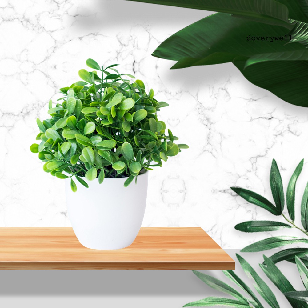 Mô hình cây cảnh nhân tạo sống động trang trí nội thất