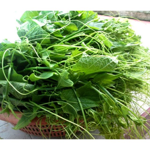 Hạt giống Bí Siêu Ngọn 10gram