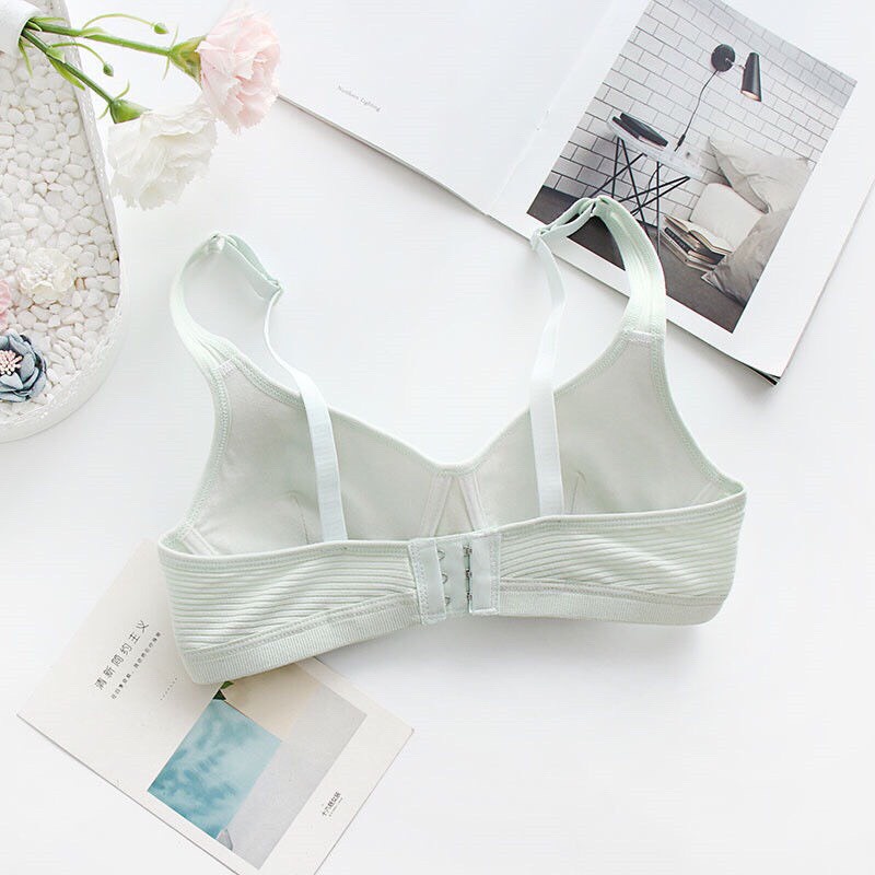 Áo lót nữ áo ngực nữ sinh không gọng mút mỏng chất cotton cài sau A10 | BigBuy360 - bigbuy360.vn