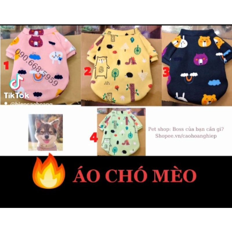 Áo cho chó mèo chất nỉ bông (Ảnh tự chụp)