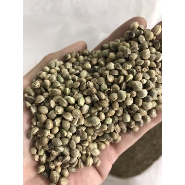 Hạt Láng Tròn (Size Đại) 500g - 1Ký