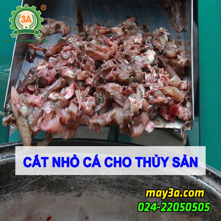 Máy cắt cá 3A2,2Kw, Máy thái cá tươi, cá mồi nuôi thủy sản, chăn nuôi gà vịt...