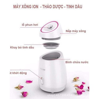 Máy xông mặt hoa quả Maoer