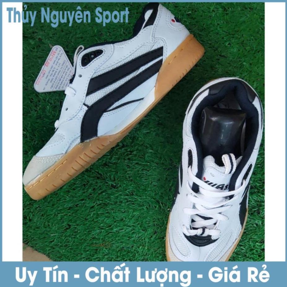 Giày Asia,Giày Thể Thao Chơi Cầu Lông, Bóng Chuyền + Tặng Kèm Đôi Tất < ; " !