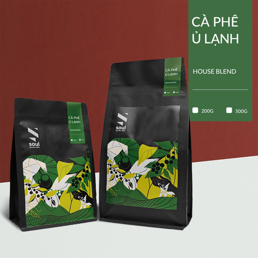 PHA Ủ LẠNH - CÀ PHÊ ĐẶC SẢN FINE ROBUSTA, SPECIALTY ARABICA, HOUSE BLEND TÚI 200GRAM, TÚI 500GRAM CHẤT LƯỢNG, THƠM NGON | BigBuy360 - bigbuy360.vn