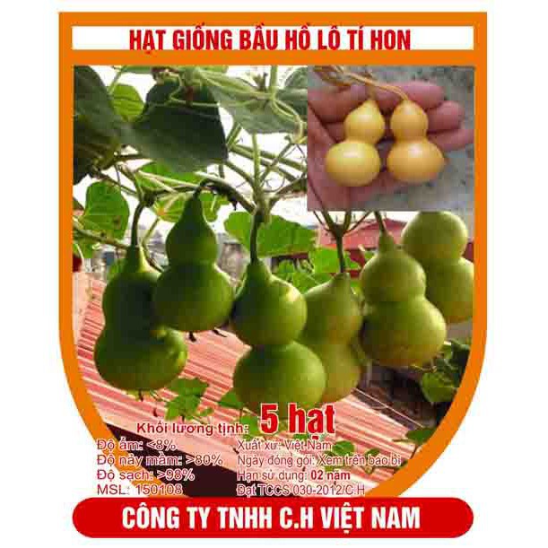 Hạt giống Bầu Hồ Lô Tí Hon (10 hạt) KHUYẾN MẠI TẾT