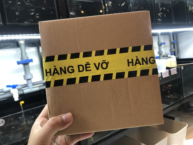 Hồ Show Cá, Keo Quay Cá dán Decal sẵn, kích thước 15x5x15cm (được bọc khi ship hàng cẩn thận)