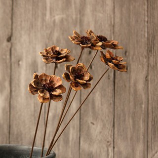 Hoa khô Mandala thư giãn,Tạo  thoải mái một biểu tượng tinh thần trong Ấn Độ giáo và Phật giáo đậm chất Vintage