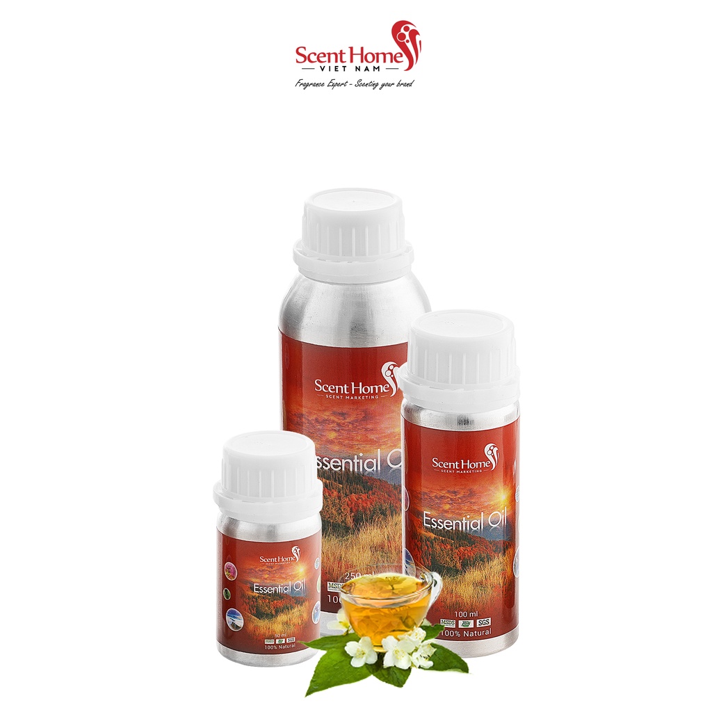 Tinh dầu Classic Tea - ScentHomes