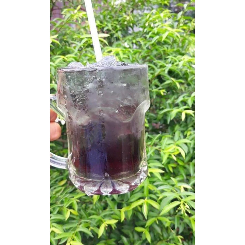 Cây trà Dr Thanh (bán tự cảnh).