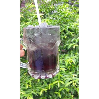 Cây trà Dr Thanh (bán tự cảnh).