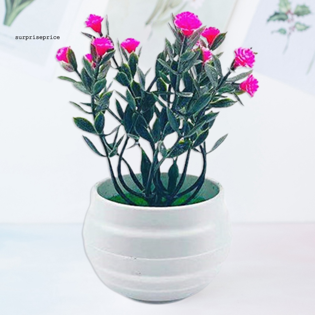 Chậu Cây Bonsai Giả Chống Rơi Dùng Trang Trí Nhà Cửa