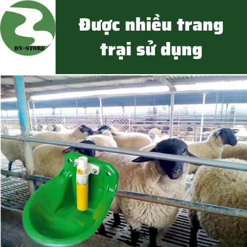 Máng uống nước tự động cho dê cừu Dương ninh van đồng MD16