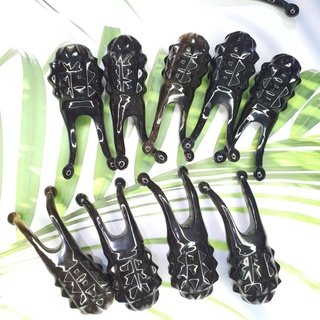 ốc sên thân dứa