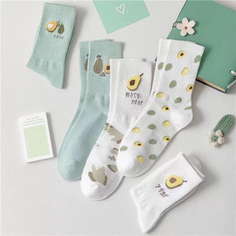 Set 5 đôi tất hình quả bơ cao cổ, vớ quả bơ dễ thương cotton thoáng mát