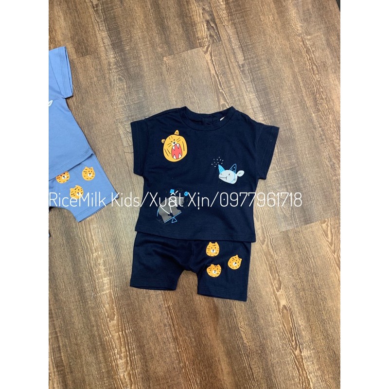 Bộ Cotton Hổ Vàng 2 màu Xanh cho bé trai