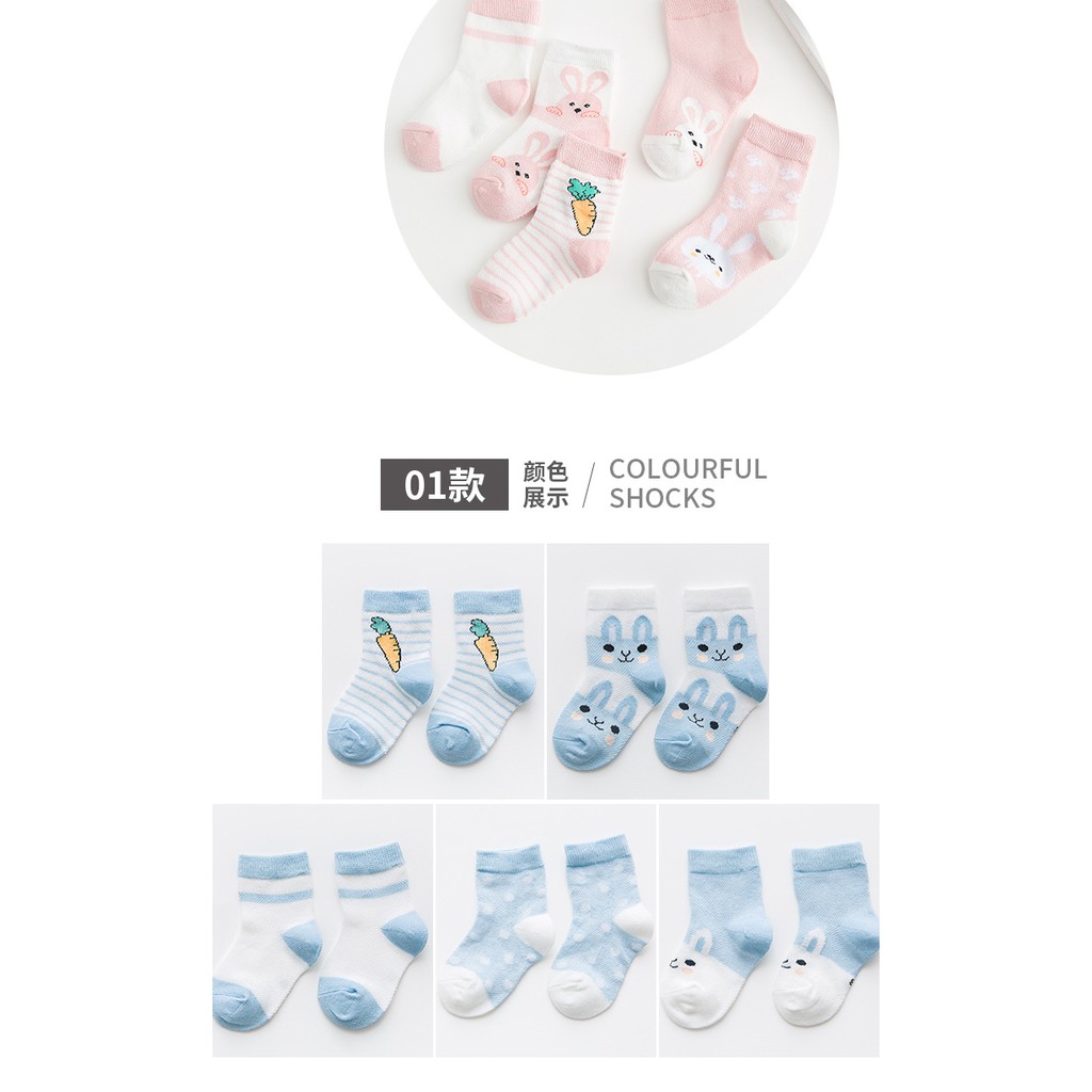 Set 5 đôi Tất cổ chân Hàn Quốc màu ngộ nghĩnh.