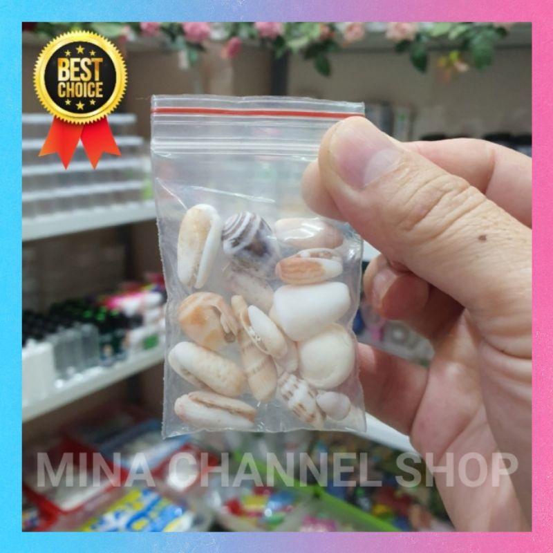 Charm Ốc Biển Đại Dương Trang Trí Slime