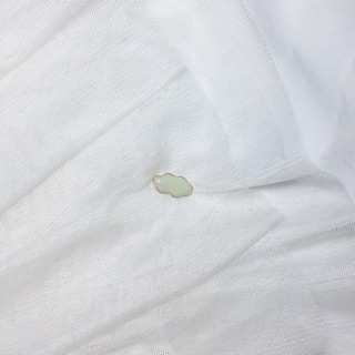 Pins đơn gắn túi