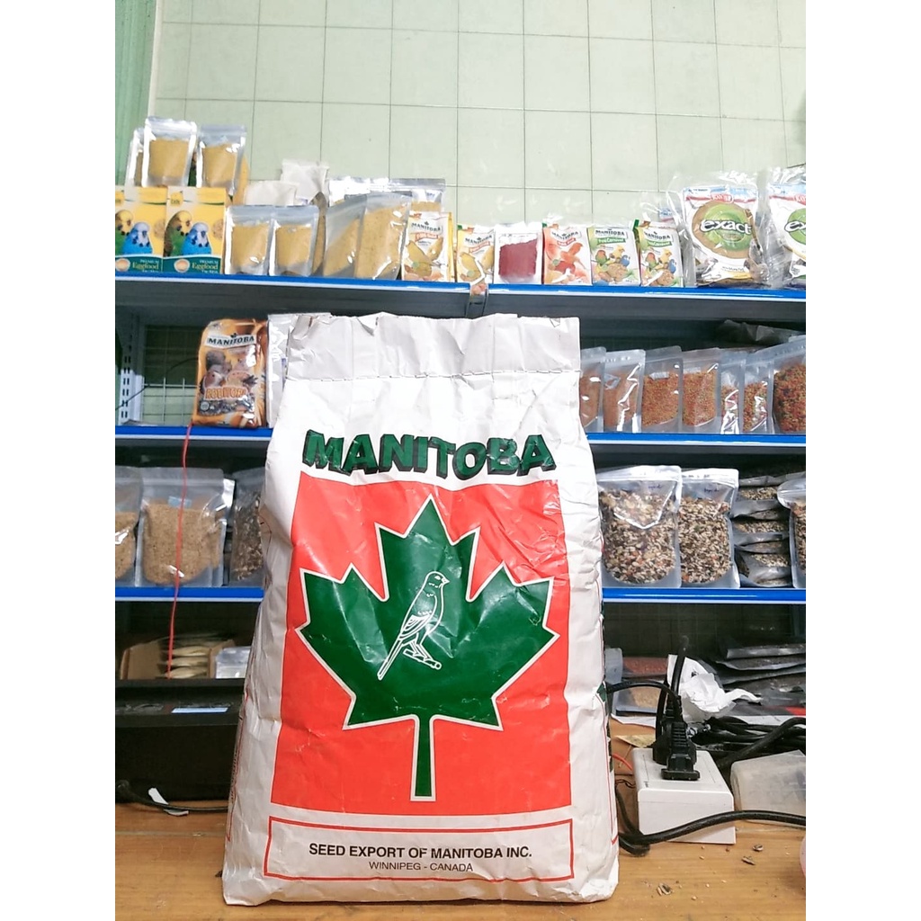 Bao nguyên 5kg hạt trộn manitoba dành cho vẹt nhỏ và trung lovebird, cookatel, rosella, sun, ngực hồng