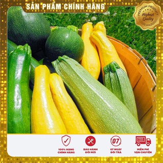 Hạt giống bí ngòi mix nhiều màu