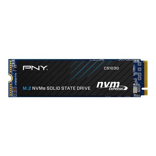 SSD 256GB PNY CS1030 M.2 2280 NVMe Gen3x4 - Hàng Chính Hãng