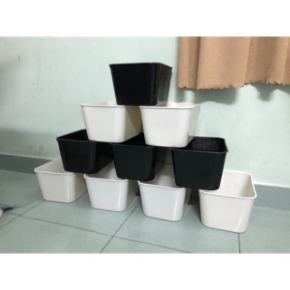 Khay nhựa nuôi cá