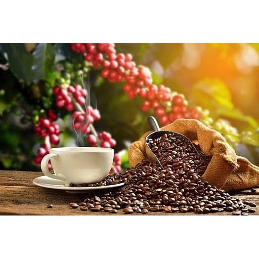 Cà phê Arabica (mộc) sạch, rang xay nguyên chất | BigBuy360 - bigbuy360.vn