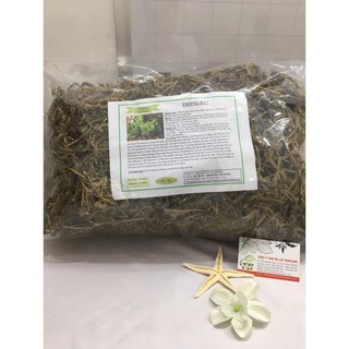 Cây Thông Đất (Râu rồng) 1Kg - Đông Y Thanh Bình
