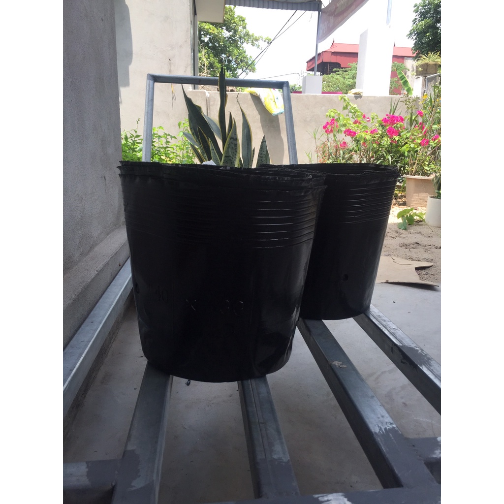 BẦU ƯƠM CÂY 40*33 ( DỊCH TRUYỀN CHO CÂY, KÍCH RỄ , MẦM CÂY XANH LÁ, LƯỚI CHE NẮNG...)