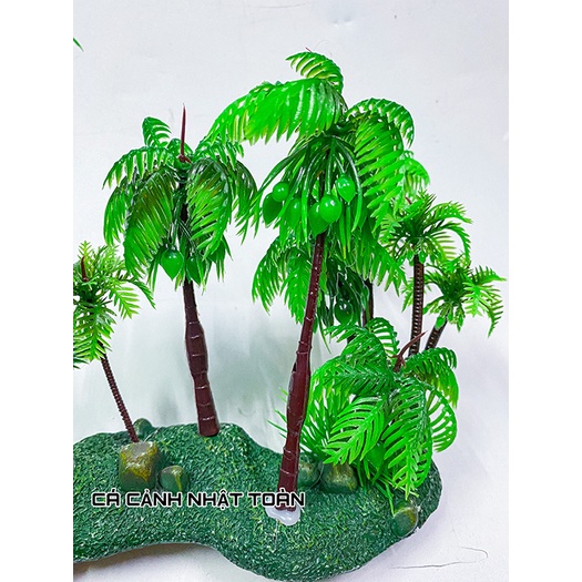 CẢNH DỪA TRANG TRÍ HỒ CÁ NON BỘ 17x6x16cm