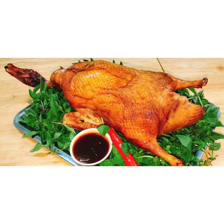 Cây mắc mật nướng chả (móc mật)