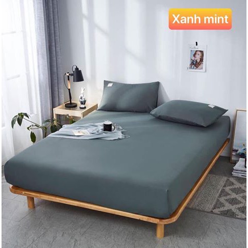 Bộ Ga Gối Cotton Tici (01 Ga, 02 Vỏ Gối Nằm)