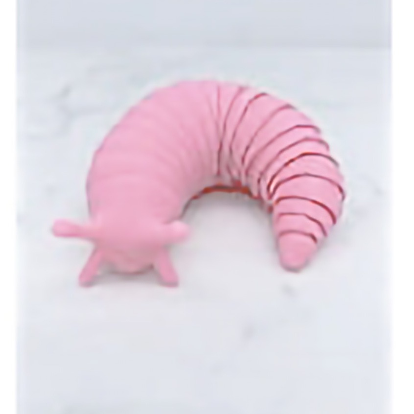 Bé sên - giống sâu đồ chơi linh hoạt xả stress trang trí bàn - IN3D.INDINI