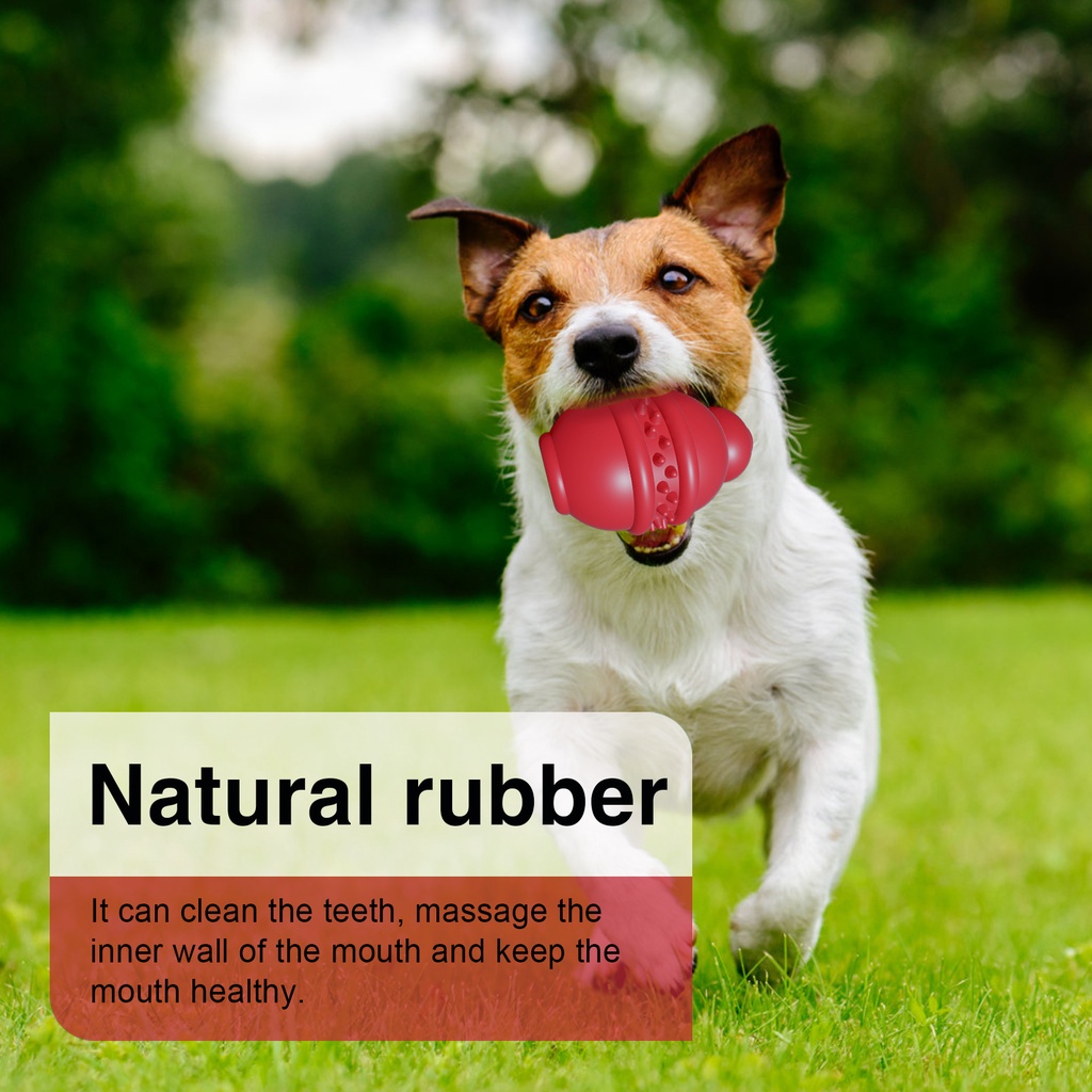 Đồ Chơi Nhai Gặm Bằng Cao Su Tự Nhiên An Toàn Cho Thú Cưng