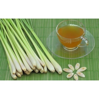 [HCM] Sả cây tươi Đà Lạt