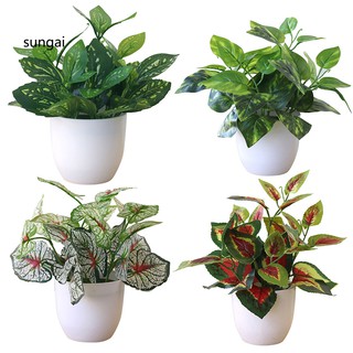 Cây Cảnh Giả Sinh Động Trang Trí Đa Năng