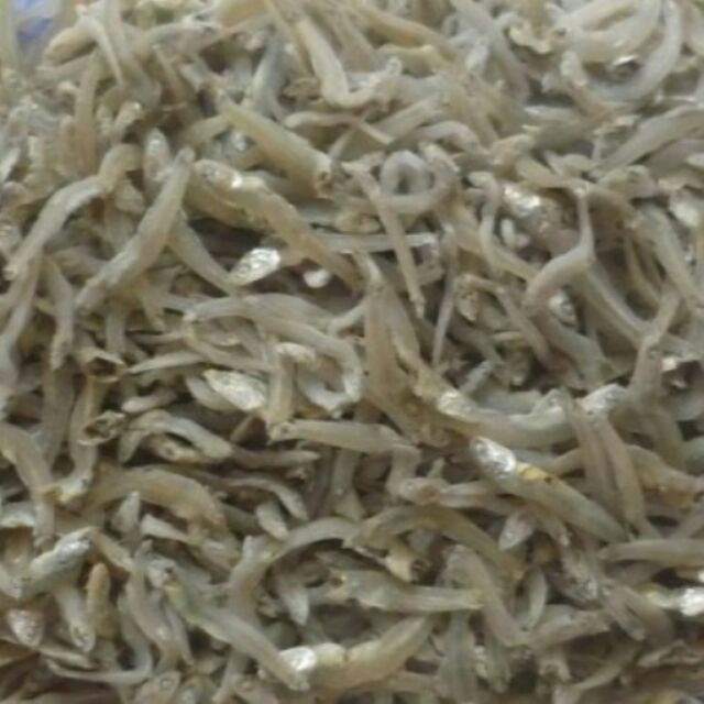 500gram cá cơm sữa Nha Trang - Đóng gói hút chân không