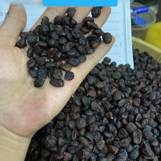 HẠT DỔI NẾP TÂY BẮC gói 20 g ( ~ 100 hạt)
