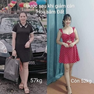 Hoa sâm đất ZN plus giảm cân - Mumbyshop
