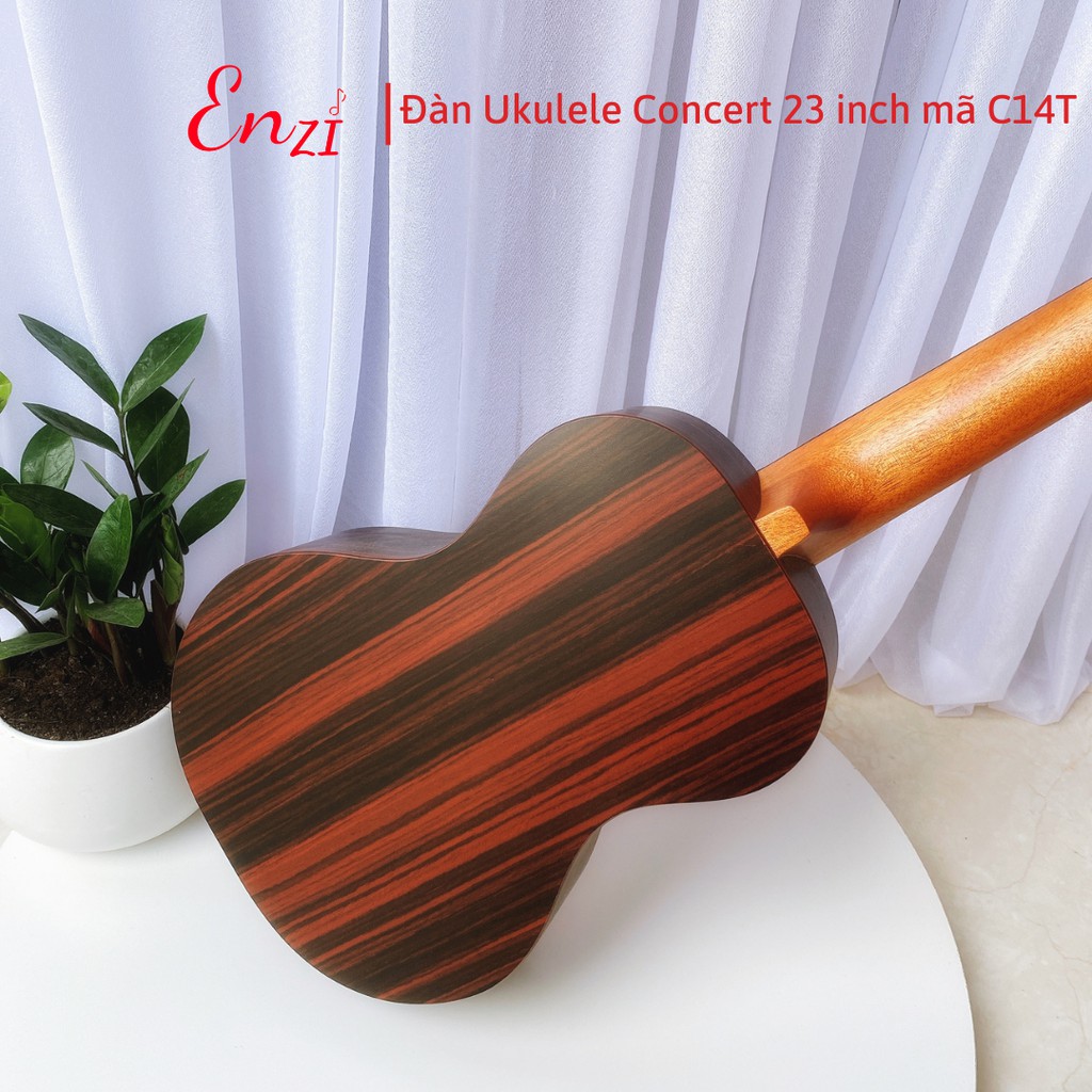 Đàn ukulele concert size 23 mã đàn C14T Enzi màu trắng ngà thiết kế độc đáo, âm thanh vang sáng cho bạn mới