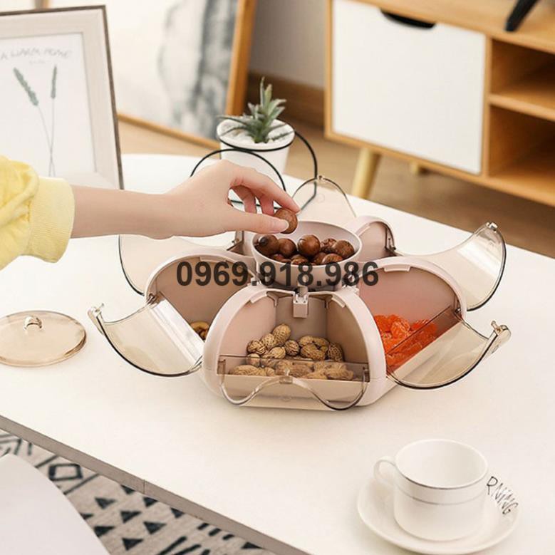 🍓 Khay Đựng Mứt Bánh Kẹo Tết 6 Cánh Tự Bung Đẹp Cao Cấp Giá Gốc Sỉ Rẻ 🍰 Tổng Kho Gia Dụng Sài Gòn 🍰